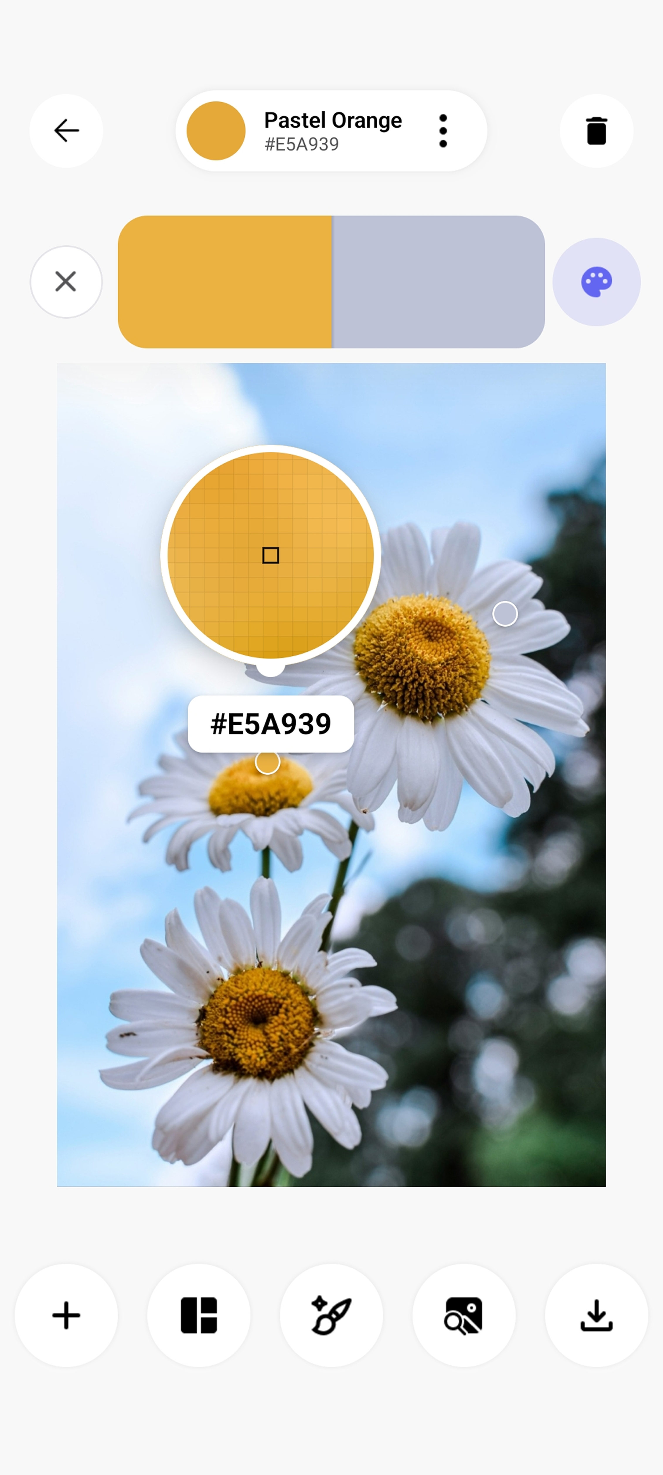 Image Color Extraction